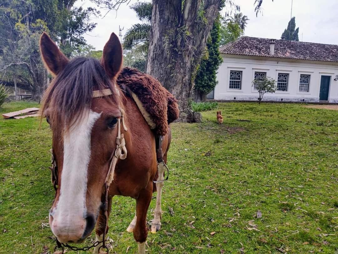 Pousada Do Sobrado Баже Экстерьер фото